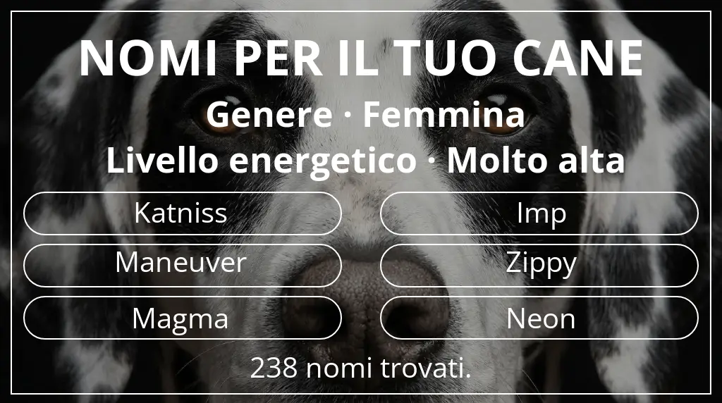 Nomi per cani ispirati a genere femmina e livello energetico molto alta
