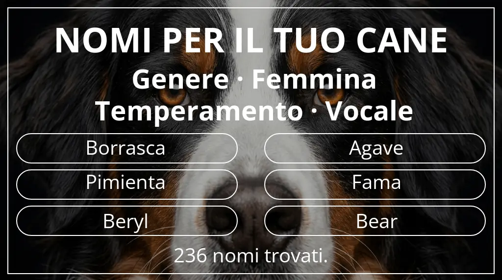 Nomi per cani ispirati a genere femmina e temperamento vocale