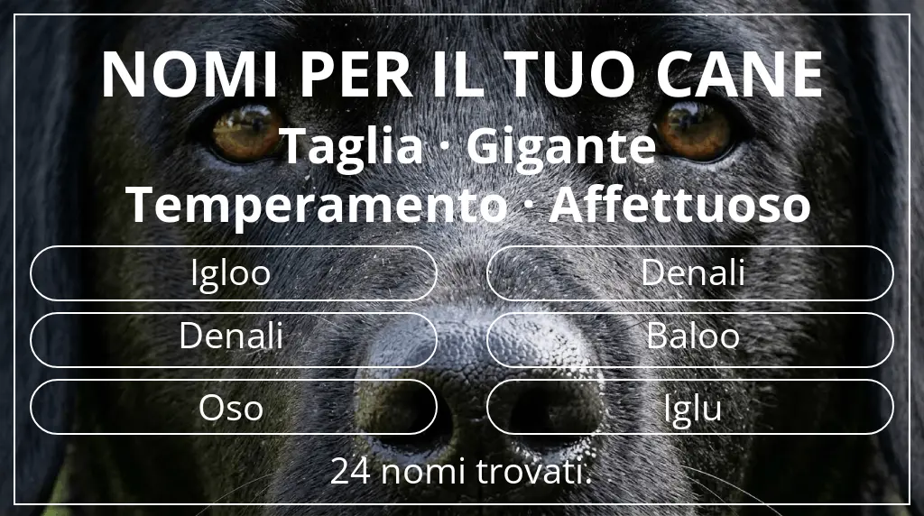 Nomi per cani basati su taglia gigante e temperamento affettuoso