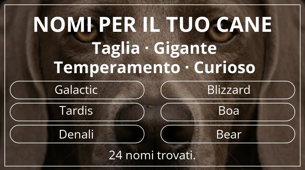 Nomi canini basati su taglia gigante e temperamento curioso