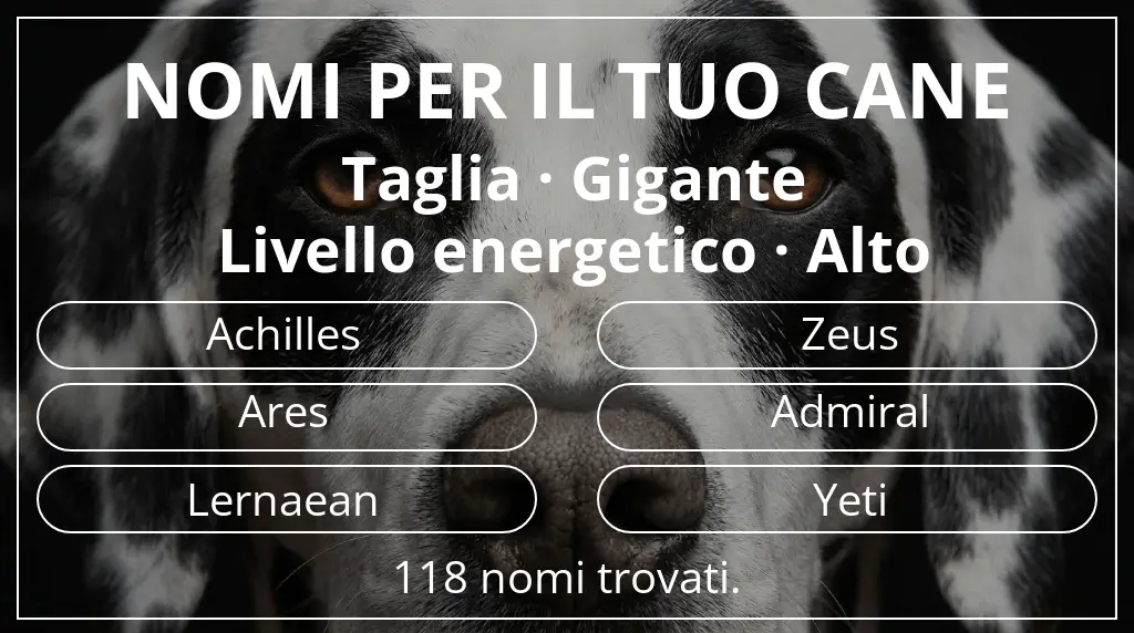 Nomi canini ispirati a taglia gigante e livello energetico alto