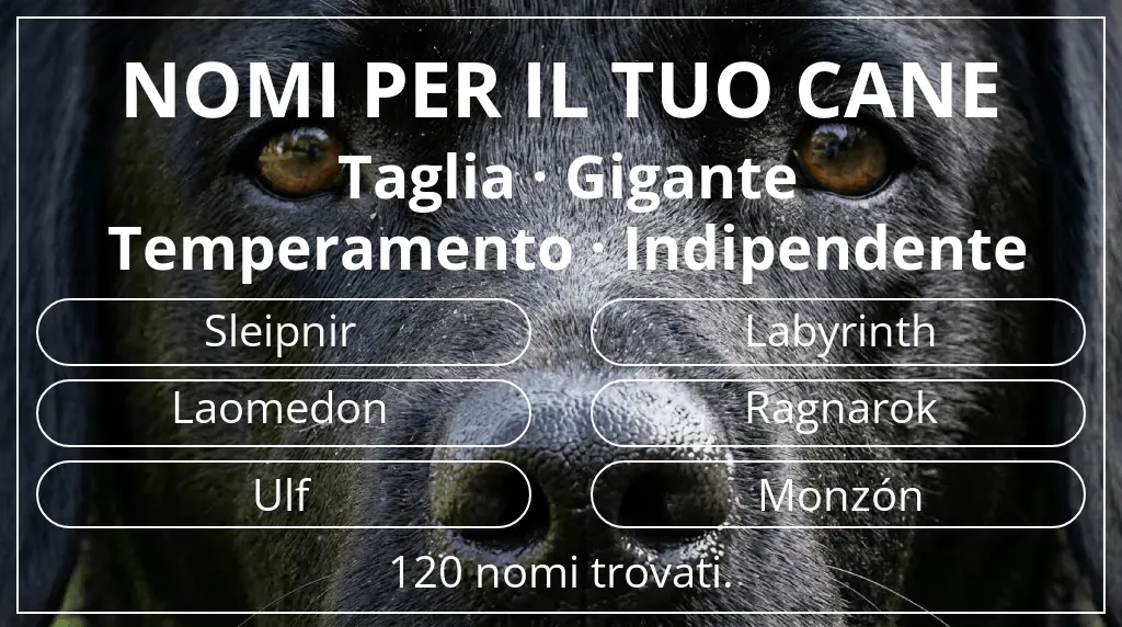 Nomi canini basati su taglia gigante e temperamento indipendente