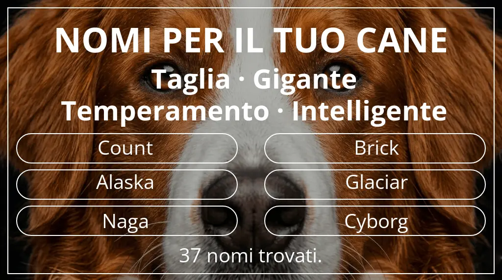 Nomi per cani ispirati a taglia gigante e temperamento intelligente