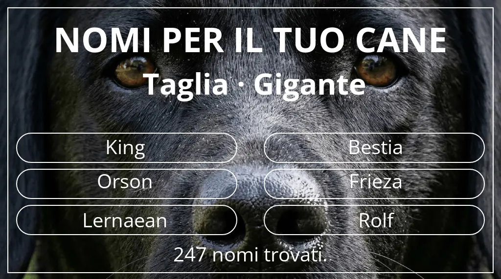 Nomi canini basati su taglia gigante