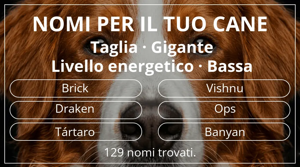 Nomi per cani basati su taglia gigante e livello energetico bassa