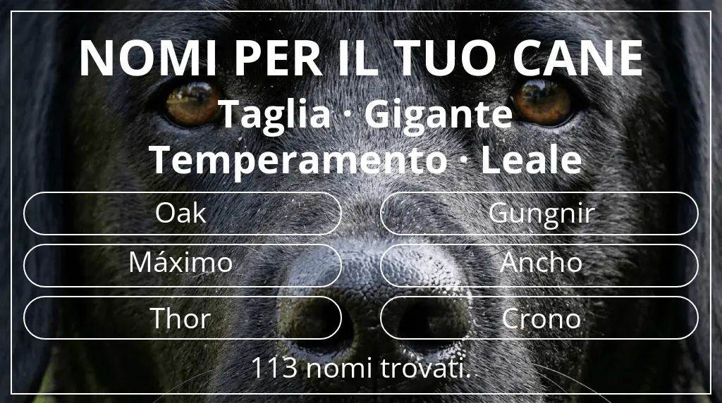 Nomi per cani ispirati a taglia gigante e temperamento leale