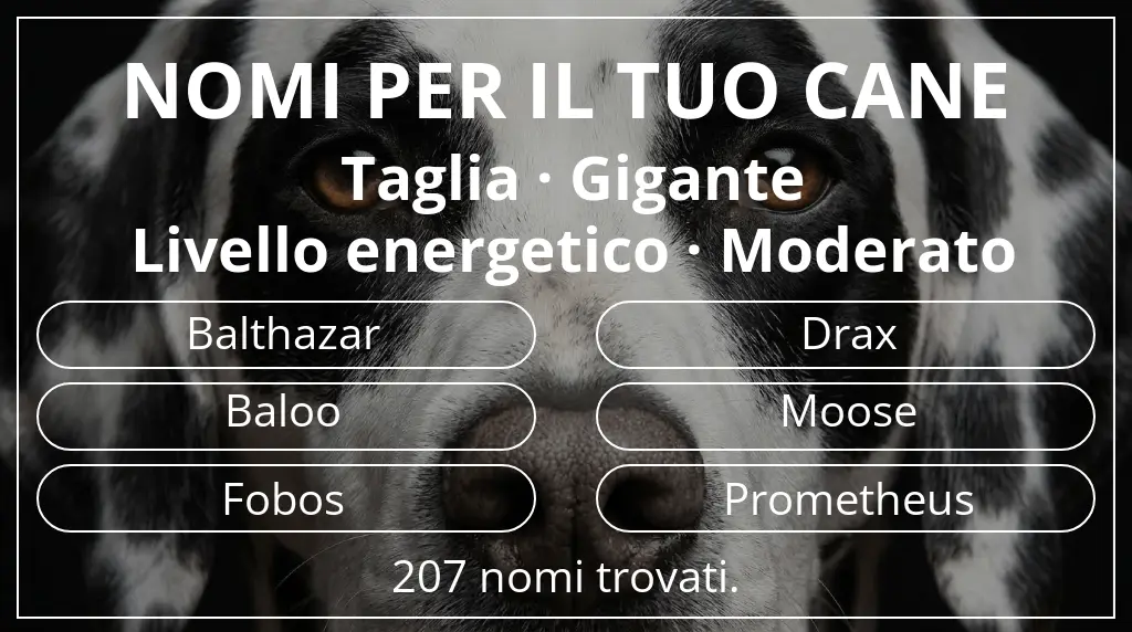 Nomi canini ispirati a taglia gigante e livello energetico moderato