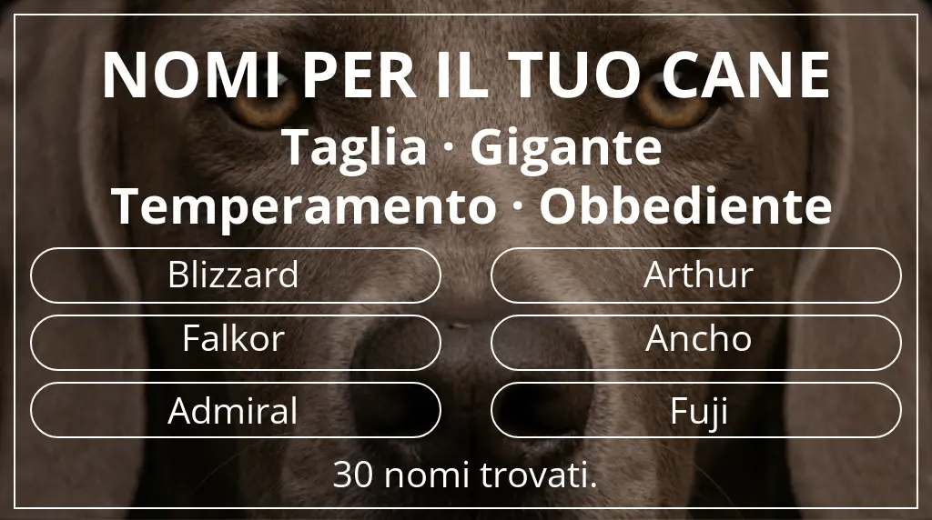 Nomi canini ispirati a taglia gigante e temperamento obbediente