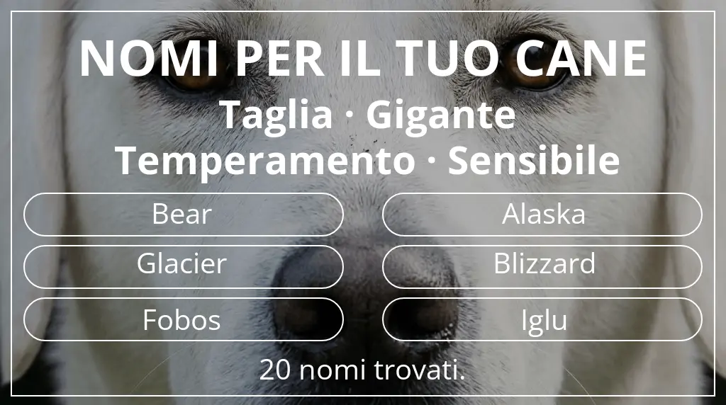 Nomi per cani basati su taglia gigante e temperamento sensibile