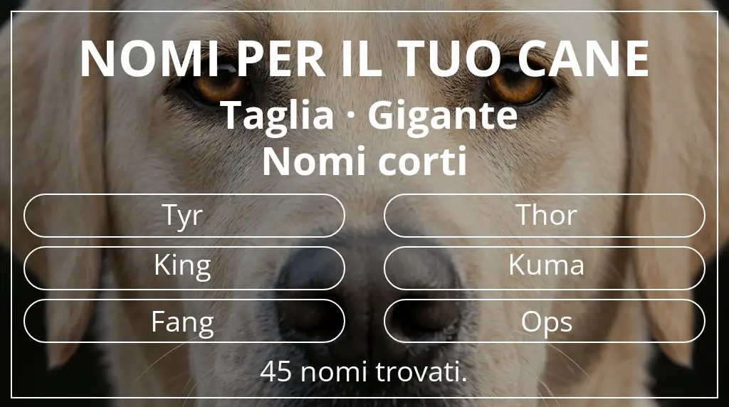Nomi per cani ispirati a taglia gigante e lunghezza del nome breve (2–4)