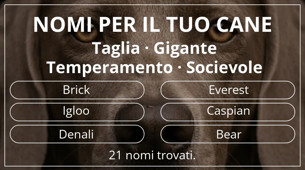 Nomi per cani basati su taglia gigante e temperamento socievole