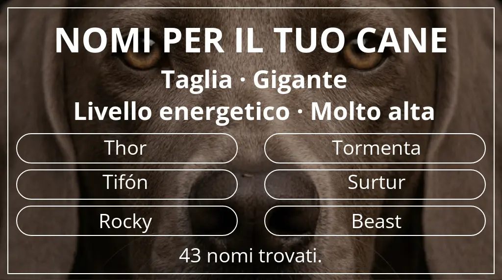 Nomi canini basati su taglia gigante e livello energetico molto alta