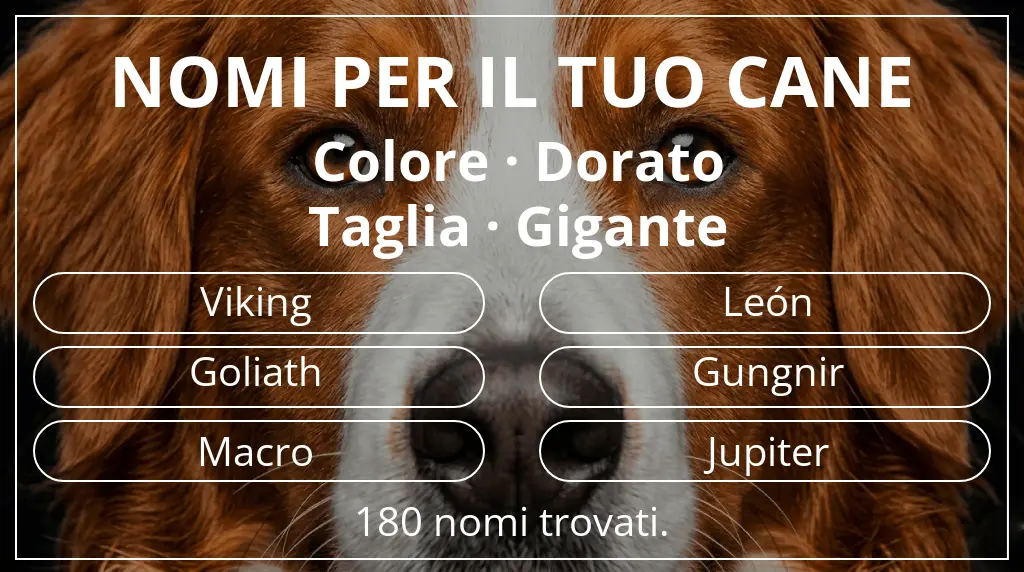 Nomi per cani ispirati a colore dorato e taglia gigante