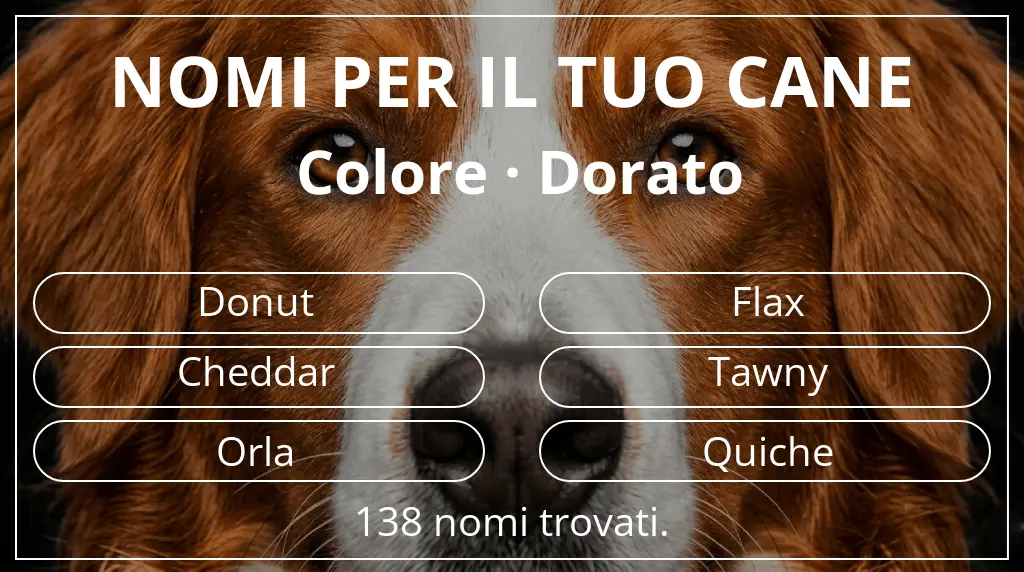 Nomi per cani ispirati a colore dorato