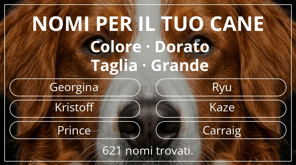 Nomi per cani basati su colore dorato e taglia grande