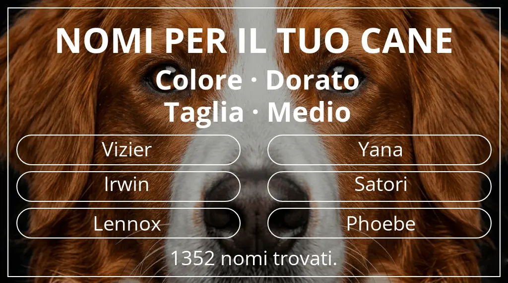 Nomi per cani basati su colore dorato e taglia medio