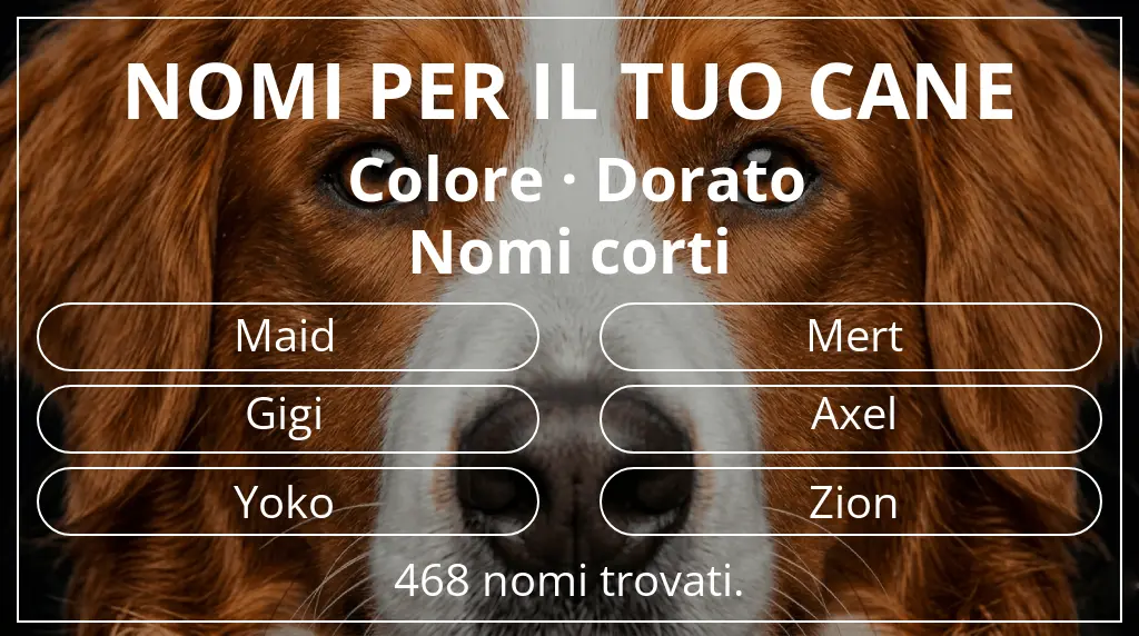Nomi per cani ispirati a colore dorato e lunghezza del nome breve (2–4)