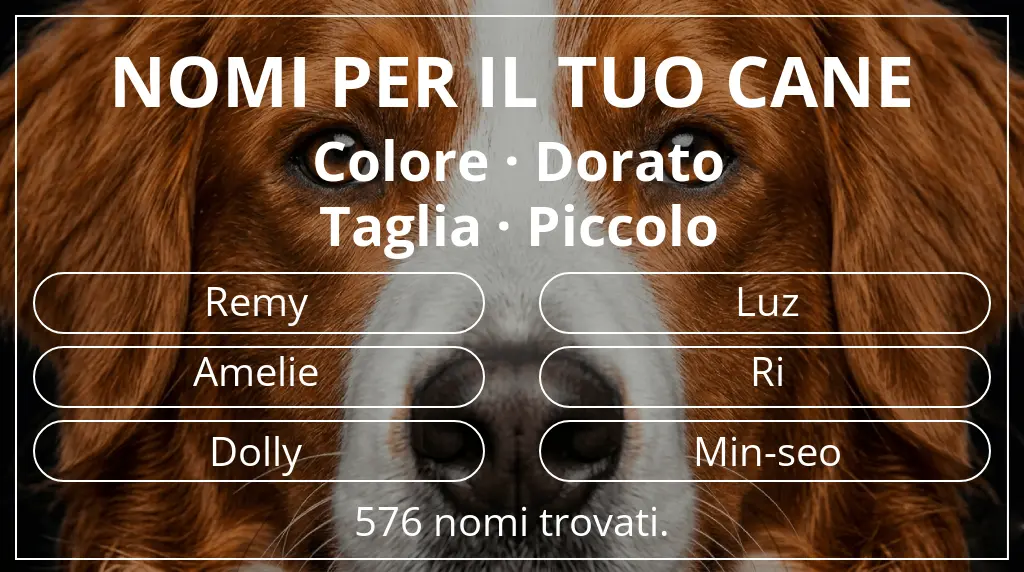 Nomi per cani ispirati a colore dorato e taglia piccolo