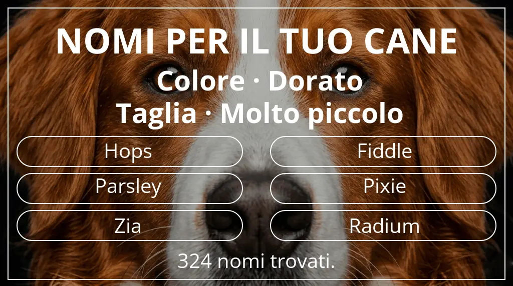 Nomi per cani ispirati a colore dorato e taglia molto piccolo