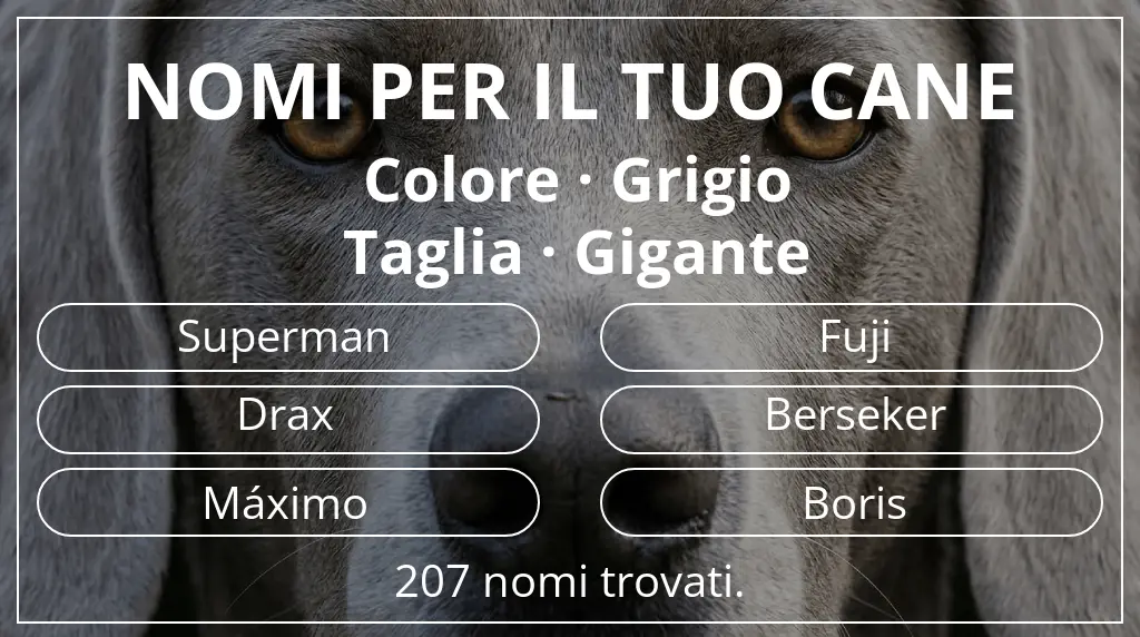 Nomi canini ispirati a colore grigio e taglia gigante