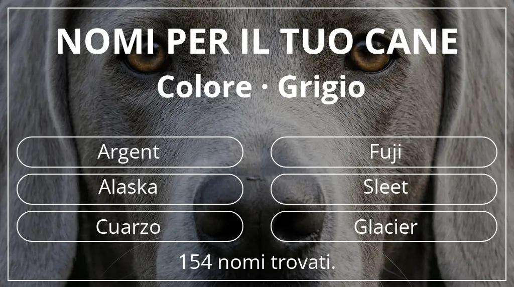 Nomi canini ispirati a colore grigio