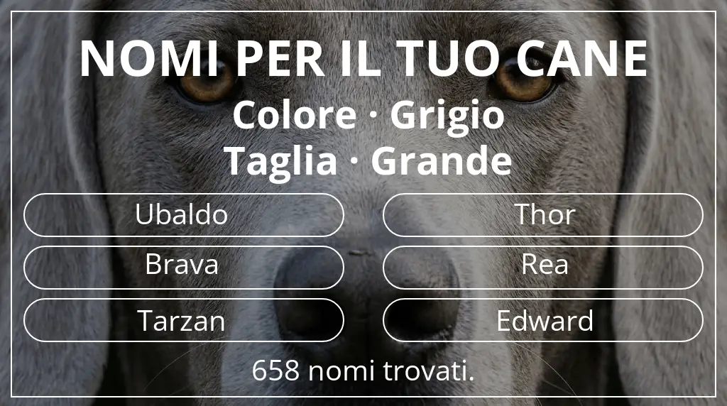 Nomi canini ispirati a colore grigio e taglia grande