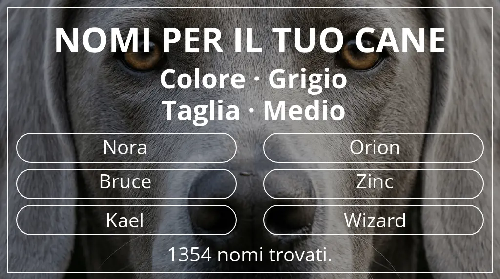 Nomi canini ispirati a colore grigio e taglia medio