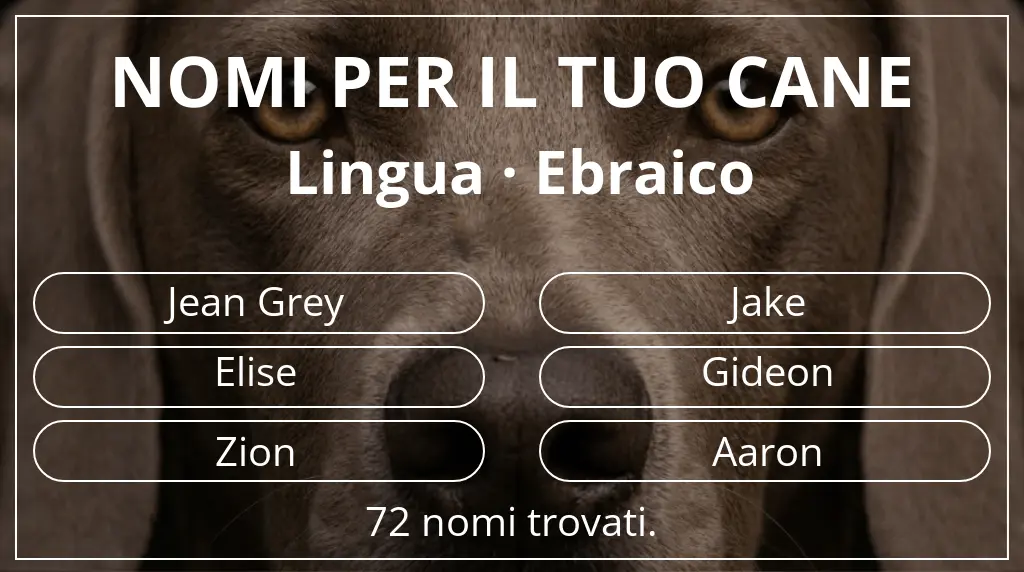 Nomi canini basati su lingua ebraico