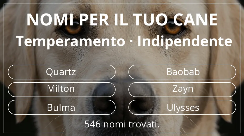 Nomi per cani basati su temperamento indipendente