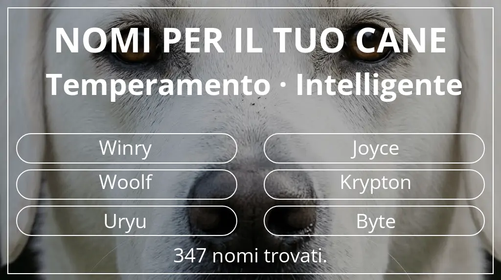 Nomi canini basati su temperamento intelligente