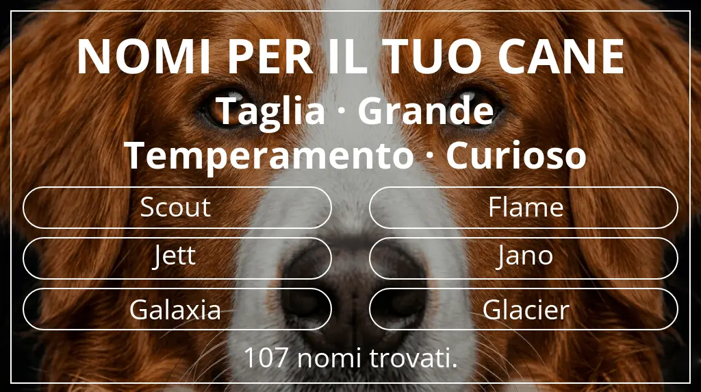 Nomi canini ispirati a taglia grande e temperamento curioso