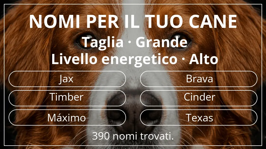 Nomi per cani basati su taglia grande e livello energetico alto