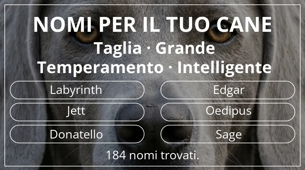 Nomi canini ispirati a taglia grande e temperamento intelligente