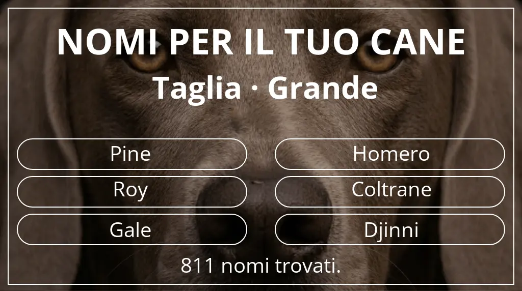 Nomi per cani basati su taglia grande