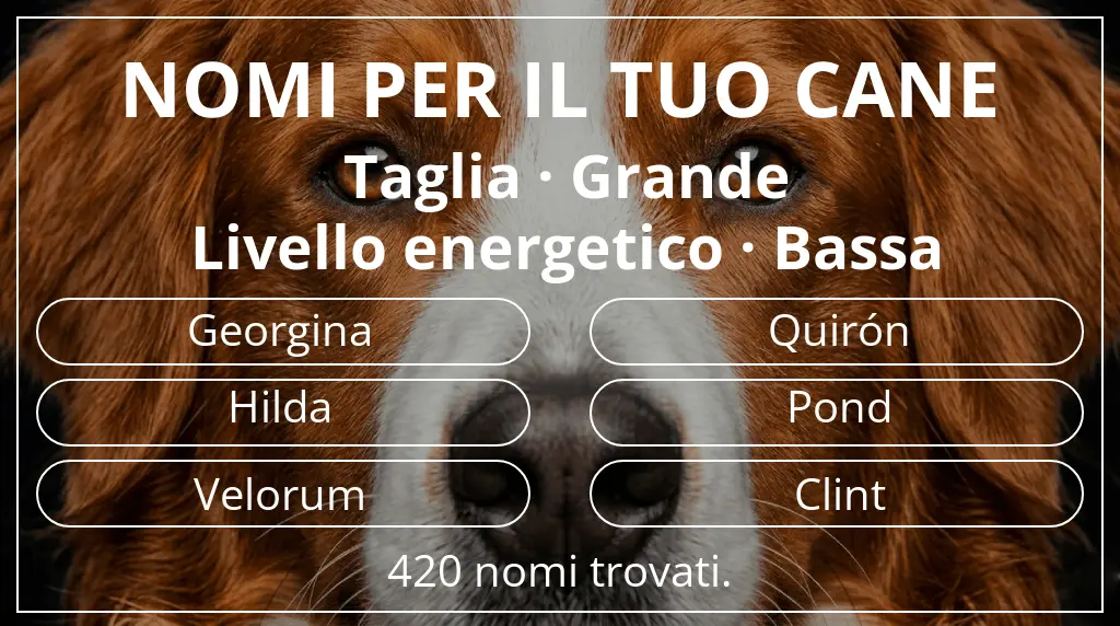 Nomi canini ispirati a taglia grande e livello energetico bassa