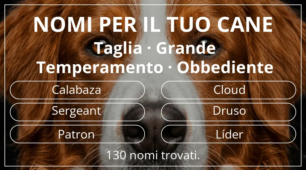Nomi per cani basati su taglia grande e temperamento obbediente