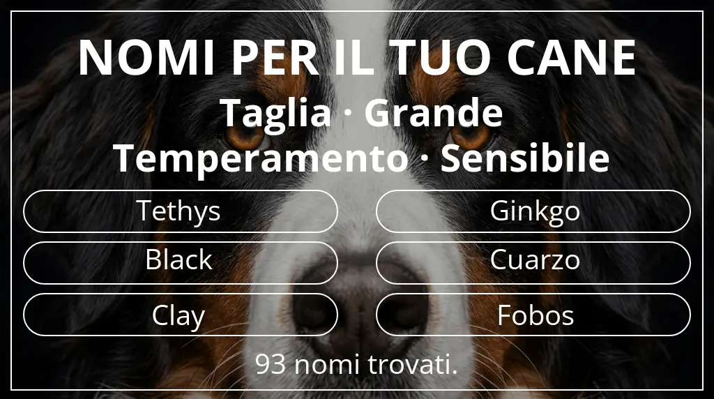 Nomi canini basati su taglia grande e temperamento sensibile