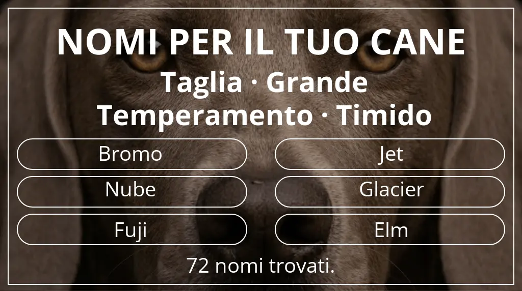 Nomi canini ispirati a taglia grande e temperamento timido