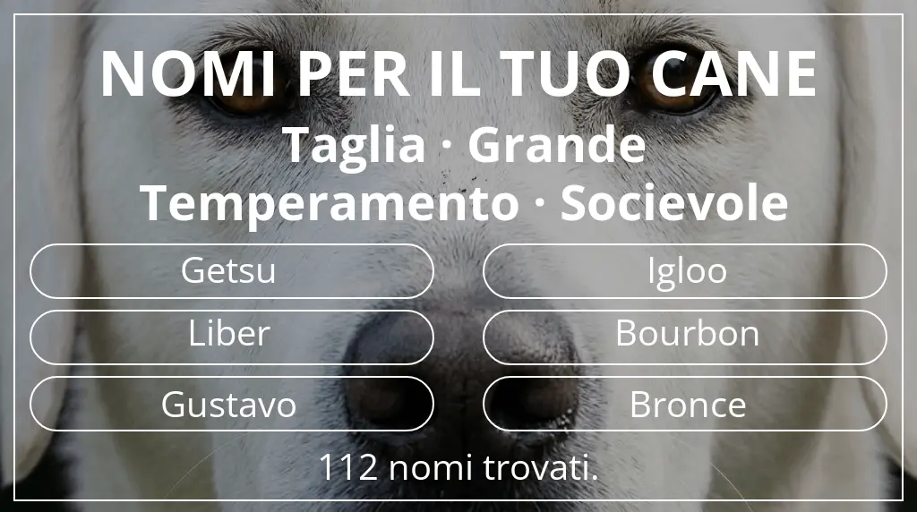Nomi canini basati su taglia grande e temperamento socievole