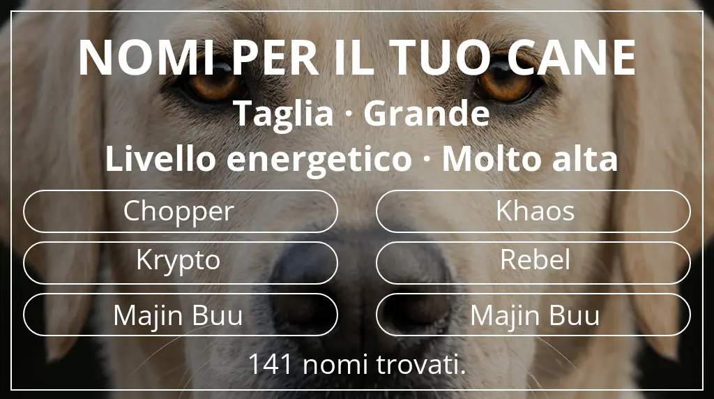 Nomi per cani ispirati a taglia grande e livello energetico molto alta
