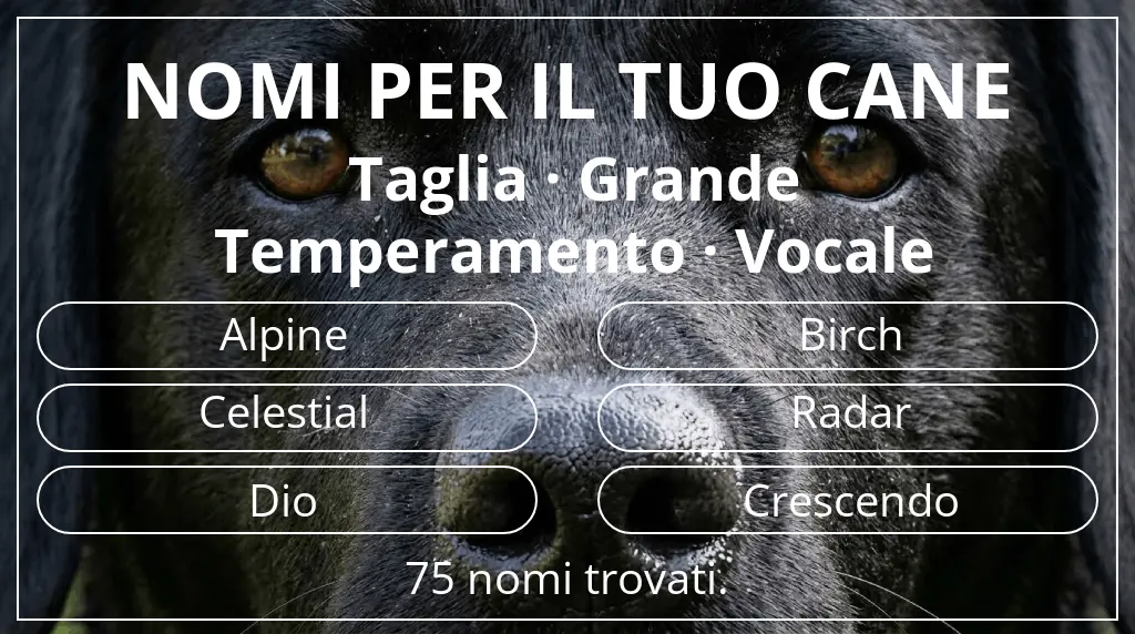 Nomi canini basati su taglia grande e temperamento vocale