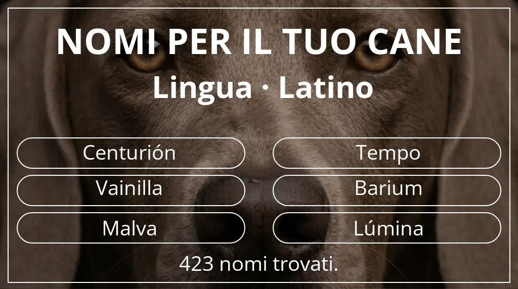 Nomi per cani basati su lingua latino