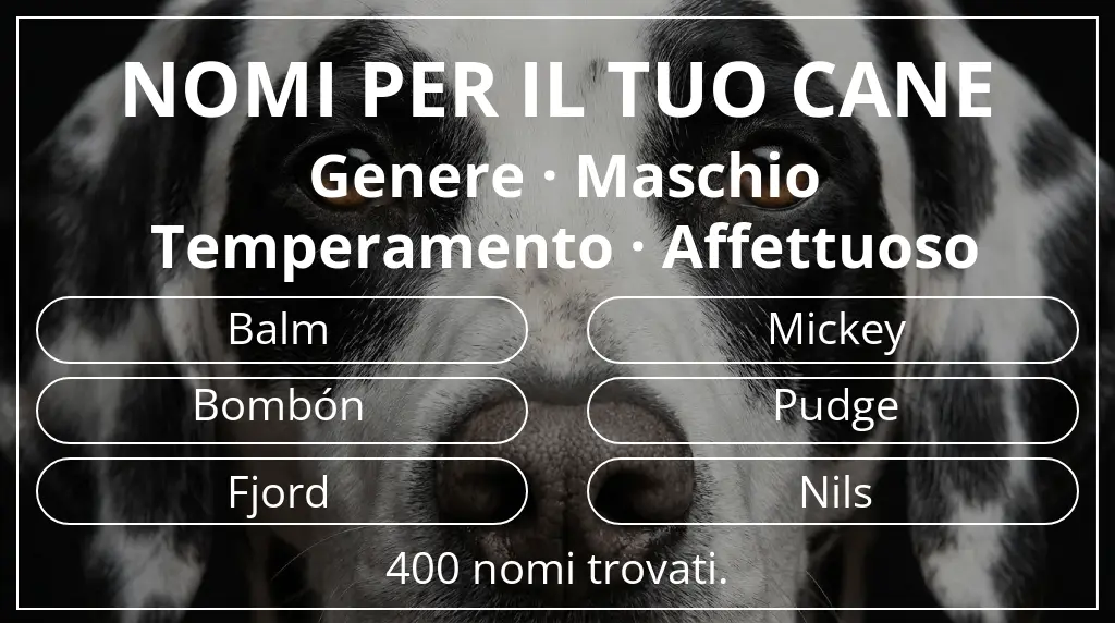 Nomi per cani basati su genere maschio e temperamento affettuoso