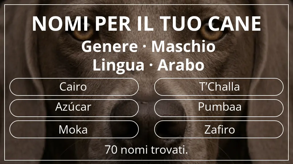 Nomi per cani basati su genere maschio e lingua arabo
