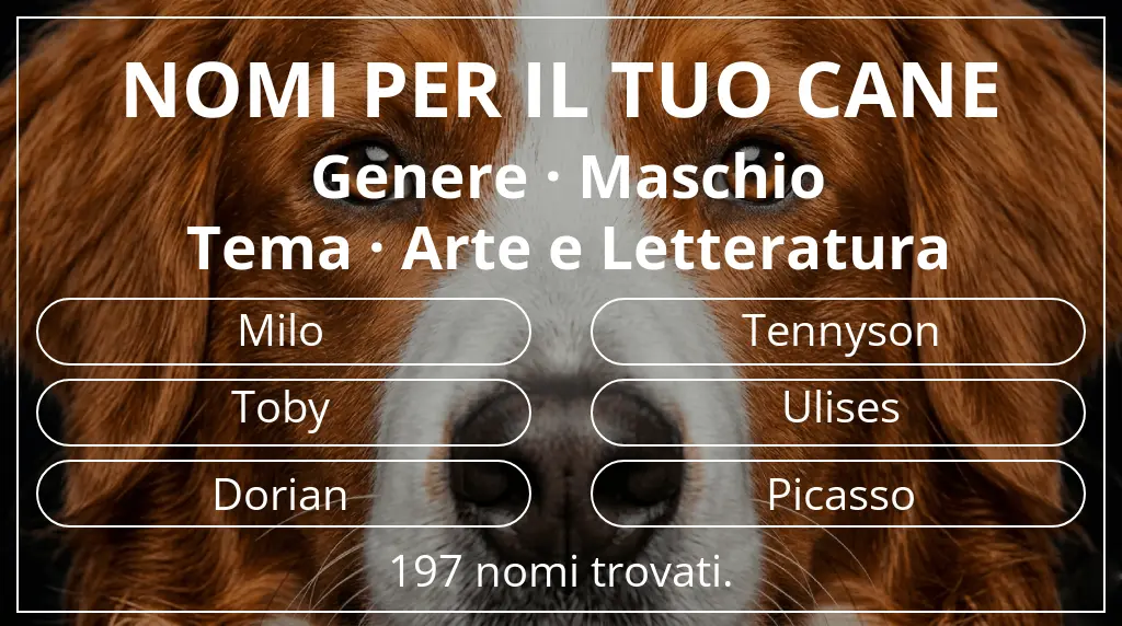 Nomi canini basati su genere maschio e tema arte e letteratura