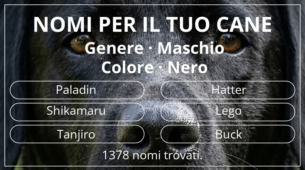 Nomi per cani basati su genere maschio e colore nero