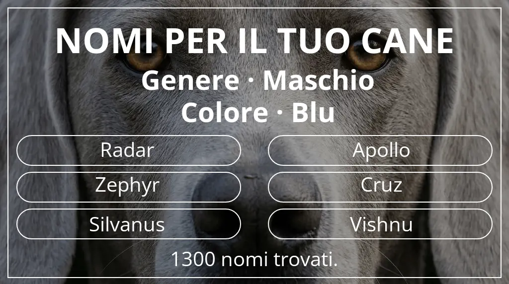 Nomi canini basati su genere maschio e colore blu