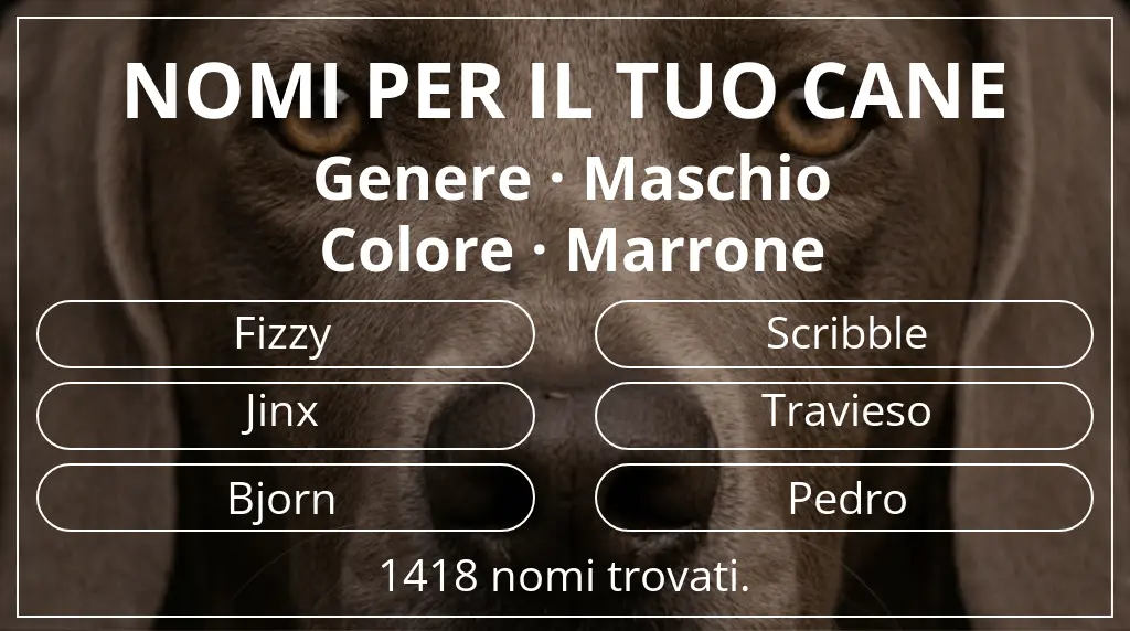 Nomi per cani ispirati a genere maschio e colore marrone