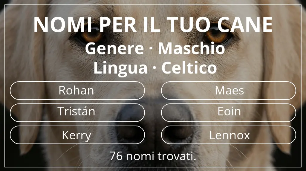 Nomi per cani basati su genere maschio e lingua celtico