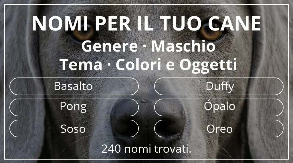 Nomi canini basati su genere maschio e tema colori e oggetti